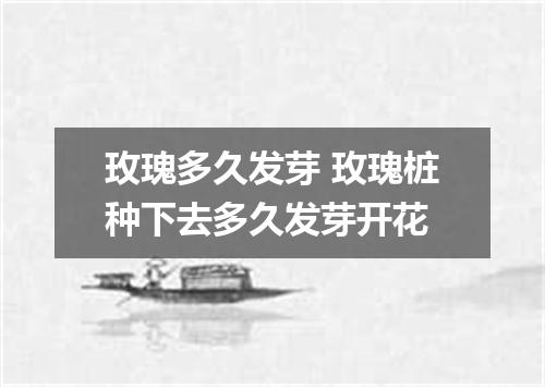 玫瑰多久发芽 玫瑰桩种下去多久发芽开花