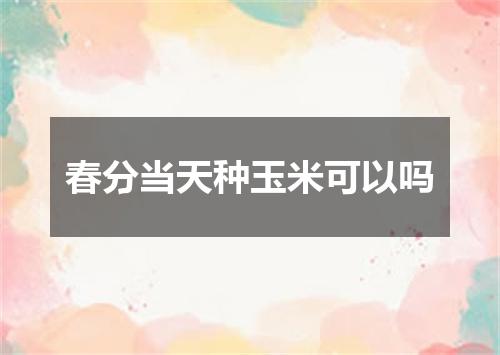 春分当天种玉米可以吗