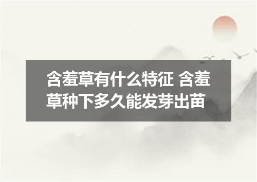 含羞草有什么特征 含羞草种下多久能发芽出苗