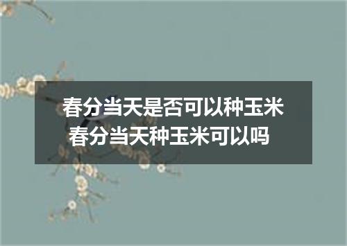 春分当天是否可以种玉米 春分当天种玉米可以吗