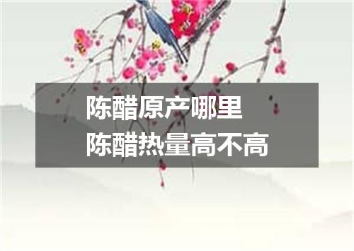 陈醋原产哪里 陈醋热量高不高