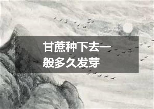 甘蔗种下去一般多久发芽