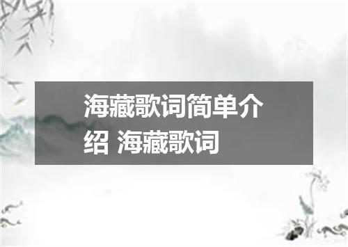海藏歌词简单介绍 海藏歌词