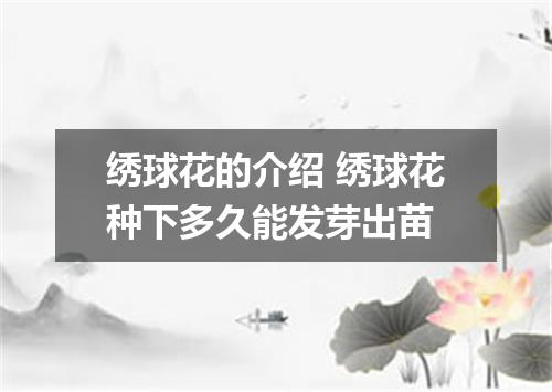 绣球花的介绍 绣球花种下多久能发芽出苗