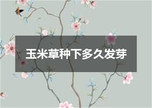 玉米草种下多久发芽