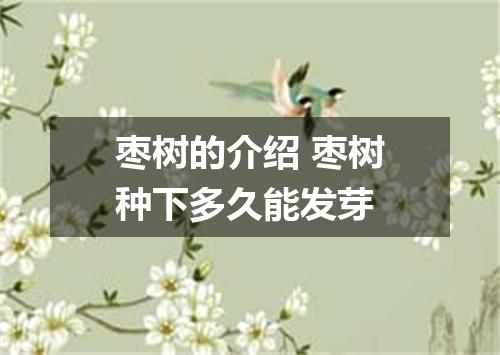 枣树的介绍 枣树种下多久能发芽