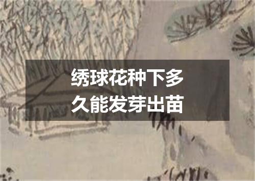 绣球花种下多久能发芽出苗