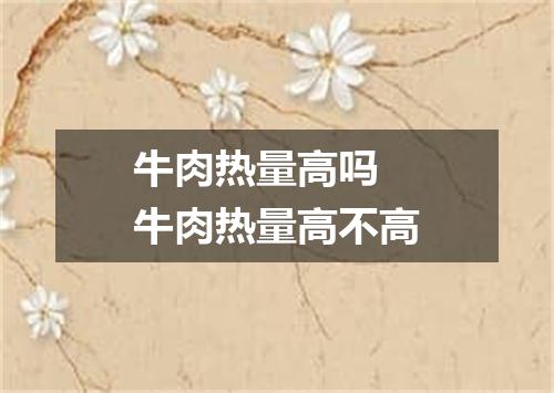 牛肉热量高吗 牛肉热量高不高