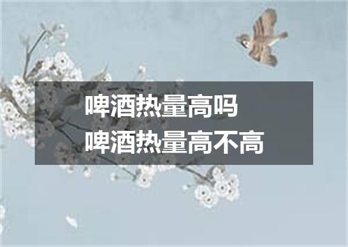 啤酒热量高吗 啤酒热量高不高