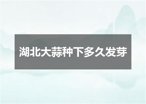 湖北大蒜种下多久发芽