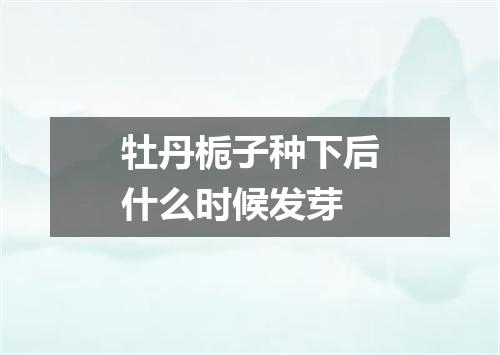 牡丹栀子种下后什么时候发芽