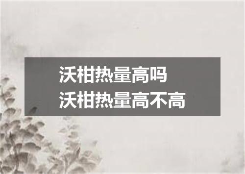 沃柑热量高吗 沃柑热量高不高