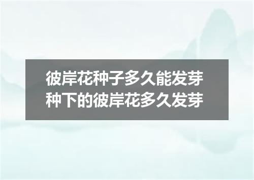 彼岸花种子多久能发芽 种下的彼岸花多久发芽