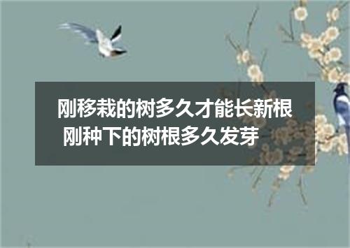 刚移栽的树多久才能长新根 刚种下的树根多久发芽