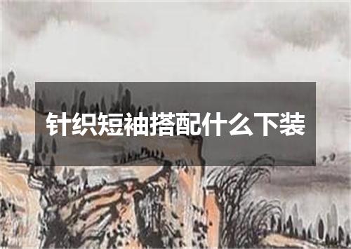 针织短袖搭配什么下装