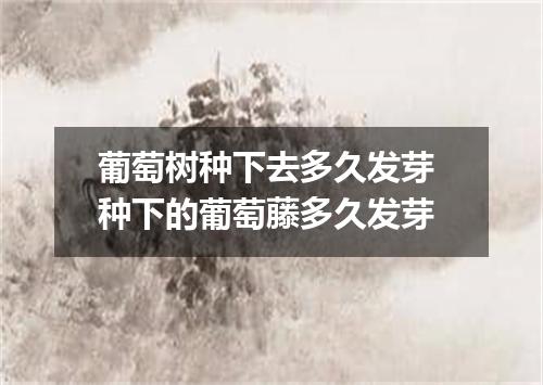 葡萄树种下去多久发芽 种下的葡萄藤多久发芽