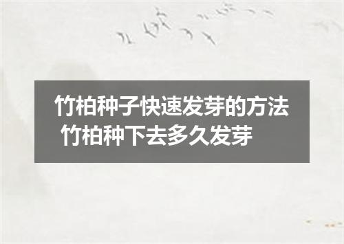 竹柏种子快速发芽的方法 竹柏种下去多久发芽