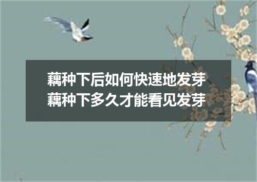 藕种下后如何快速地发芽 藕种下多久才能看见发芽