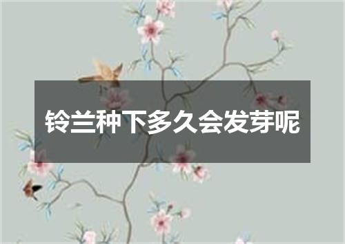 铃兰种下多久会发芽呢