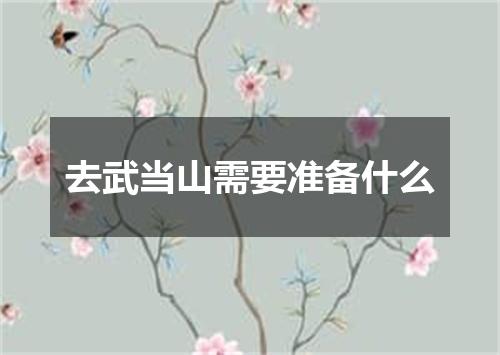 去武当山需要准备什么