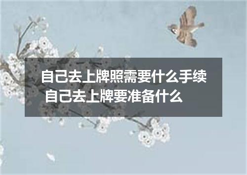 自己去上牌照需要什么手续 自己去上牌要准备什么