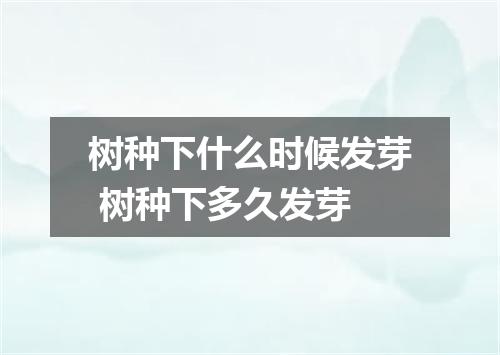 树种下什么时候发芽 树种下多久发芽