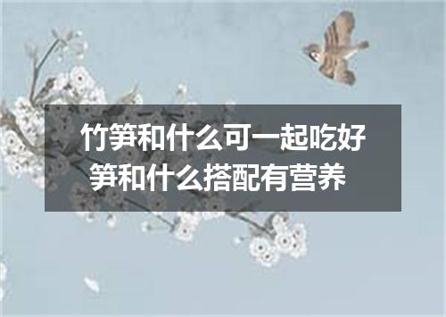 竹笋和什么可一起吃好 笋和什么搭配有营养