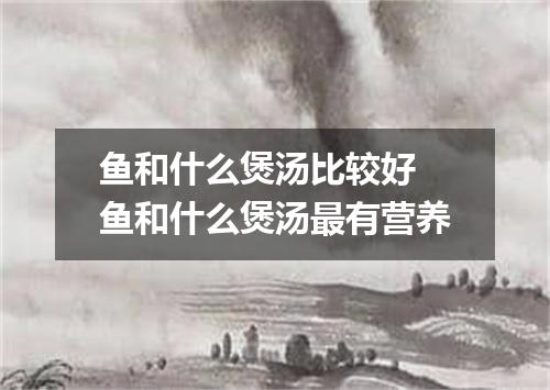 鱼和什么煲汤比较好 鱼和什么煲汤最有营养