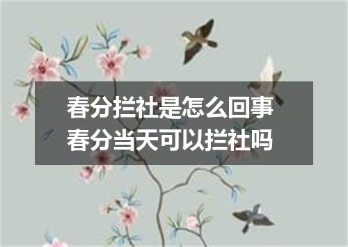 春分拦社是怎么回事 春分当天可以拦社吗