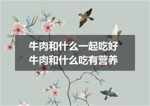 牛肉和什么一起吃好 牛肉和什么吃有营养