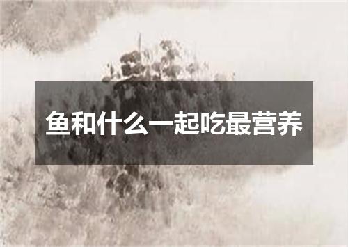 鱼和什么一起吃最营养