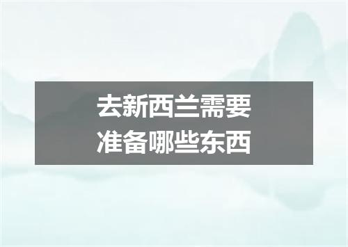 去新西兰需要准备哪些东西