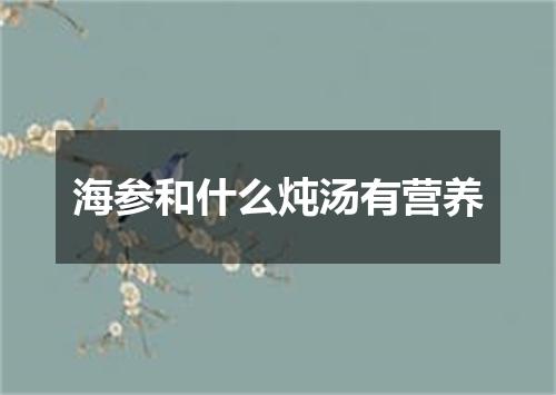 海参和什么炖汤有营养