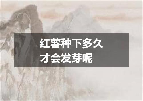 红薯种下多久才会发芽呢