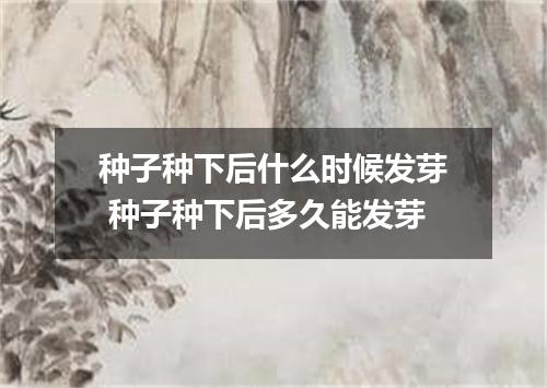 种子种下后什么时候发芽 种子种下后多久能发芽