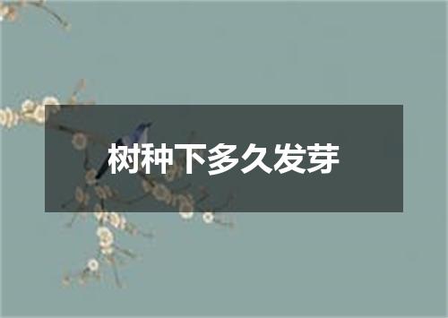 树种下多久发芽