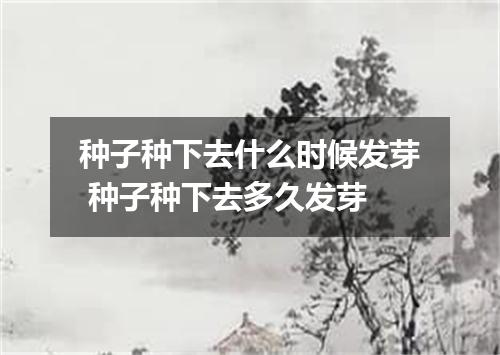 种子种下去什么时候发芽 种子种下去多久发芽