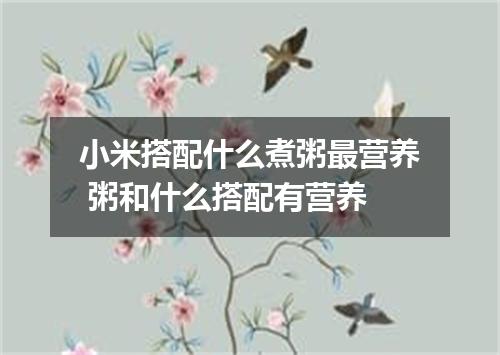 小米搭配什么煮粥最营养 粥和什么搭配有营养