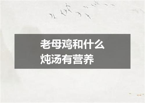 老母鸡和什么炖汤有营养