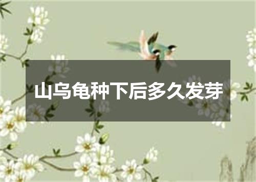 山乌龟种下后多久发芽