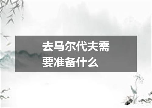 去马尔代夫需要准备什么