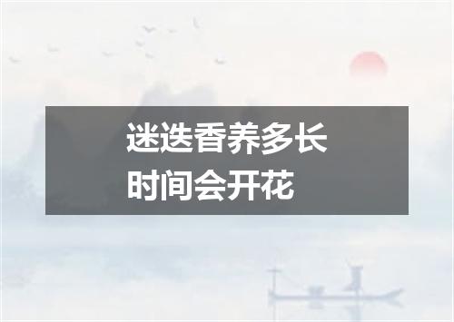 迷迭香养多长时间会开花