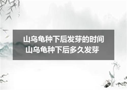 山乌龟种下后发芽的时间 山乌龟种下后多久发芽