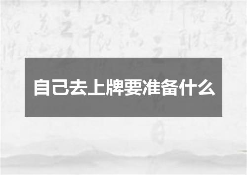 自己去上牌要准备什么