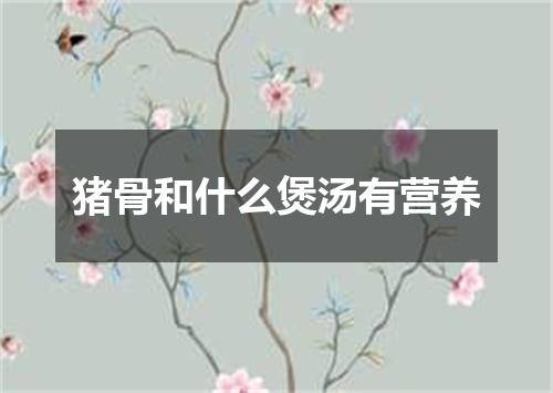 猪骨和什么煲汤有营养