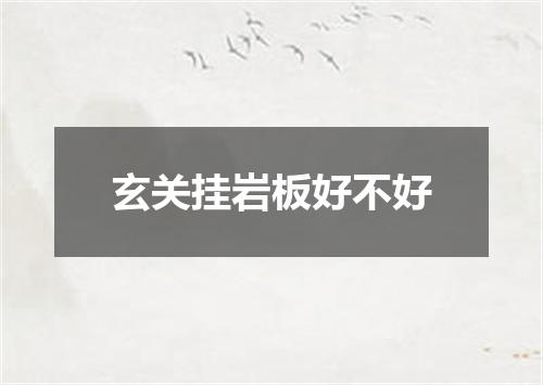 玄关挂岩板好不好