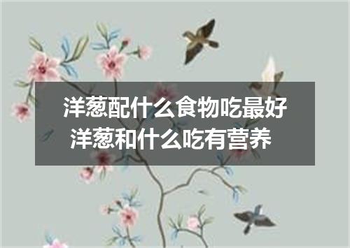 洋葱配什么食物吃最好 洋葱和什么吃有营养