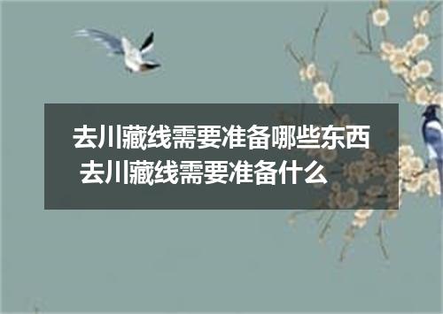 去川藏线需要准备哪些东西 去川藏线需要准备什么