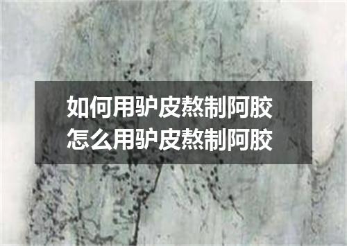 如何用驴皮熬制阿胶 怎么用驴皮熬制阿胶