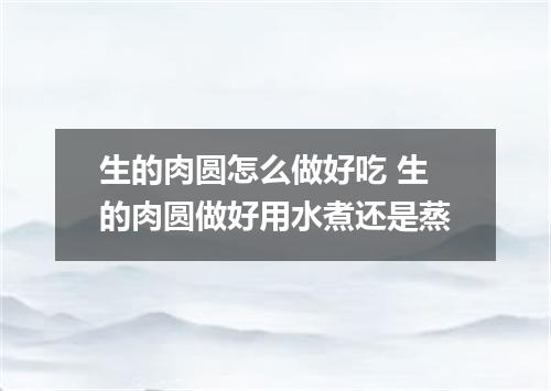 生的肉圆怎么做好吃 生的肉圆做好用水煮还是蒸